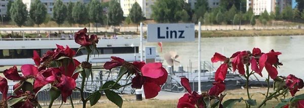 Linz (17)